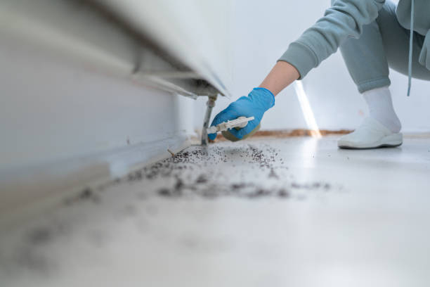 Professional Pest Control in Botkins, OH